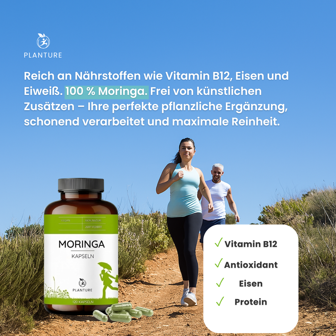 Moringa Kapseln