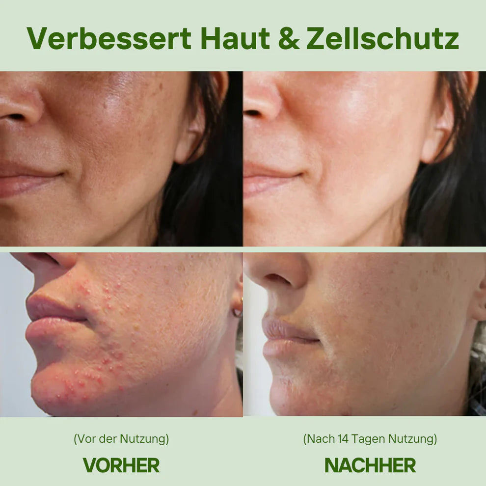 Bio Moringa Kapseln