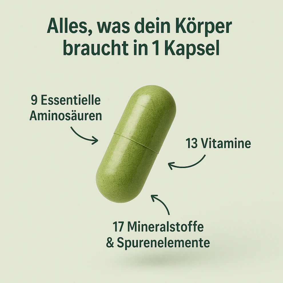 Bio Moringa Kapseln